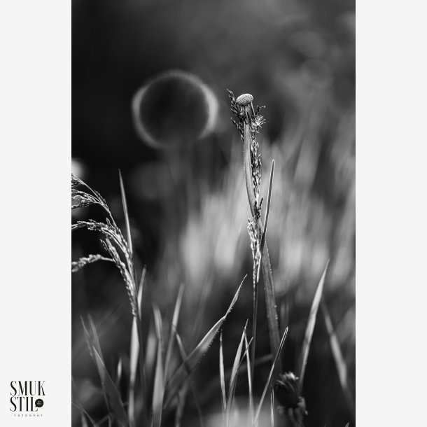 BNW Good Night